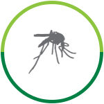 Controle de Mosquitos