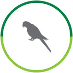 Manejo da Fauna Silvestre