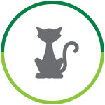 Manejo de Animais Domésticos