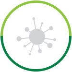 Desinfecção ou Sanitização